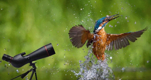 Straight vs. Angled Spotting Scopes Finding Your Perfect View