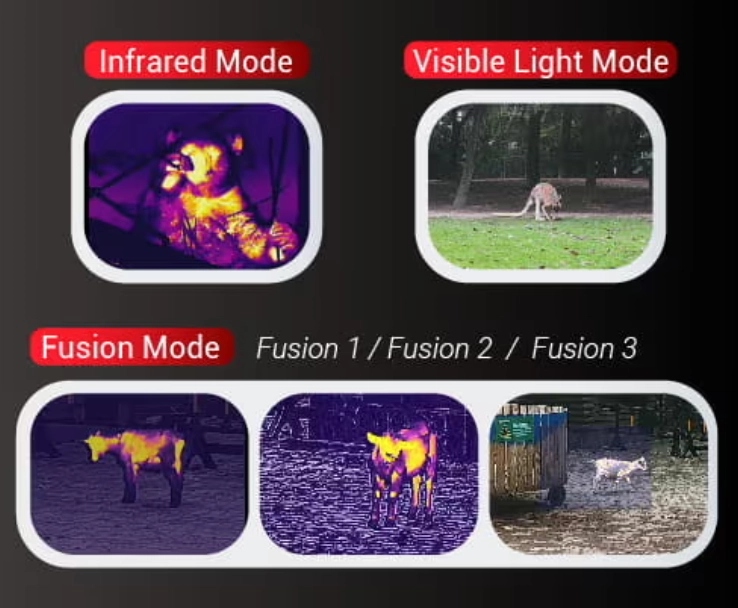 Thermal-Low-Light-Fusion-Imaging