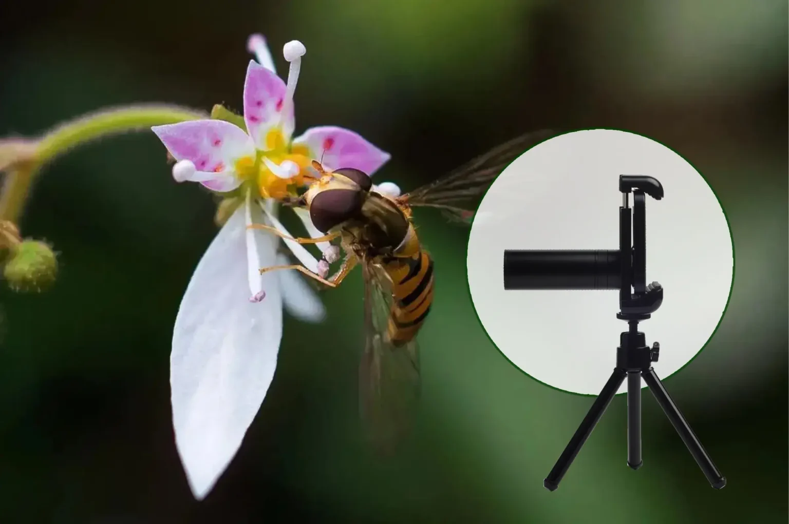 Revolutionizing Mobile Photography with a Micro Telephoto Monocular